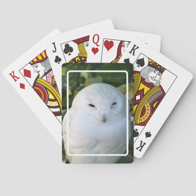 Schneeeule Spielkarten (Rückseite)