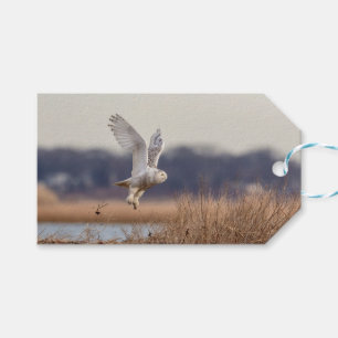 Schneeeule startet geschenkanhänger