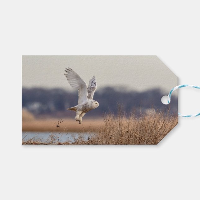 Schneeeule startet geschenkanhänger (Vorderseite (Horizontal))