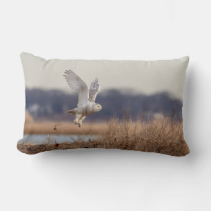 Schneeeule startet lendenkissen