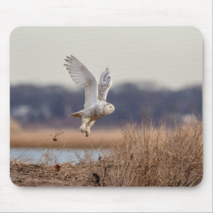 Schneeeule startet mousepad