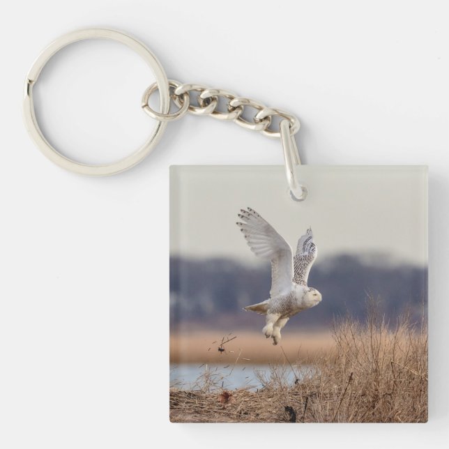 Schneeeule startet schlüsselanhänger (Vorderseite)