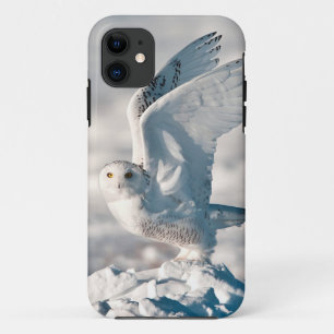 Schneeeule startet vom Schnee Case-Mate iPhone Hülle