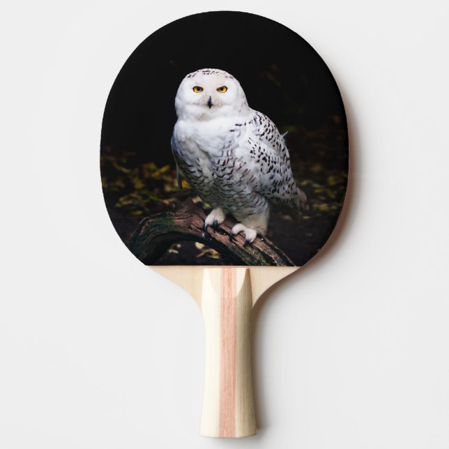 Schneeeule Tischtennis Schläger (Vorderseite)