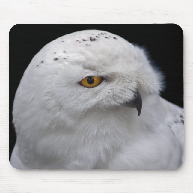 Schneeeulen-Mauspad Mousepad (Vorne)
