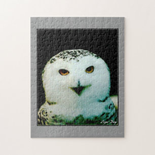 Schneeeulen-Puzzle