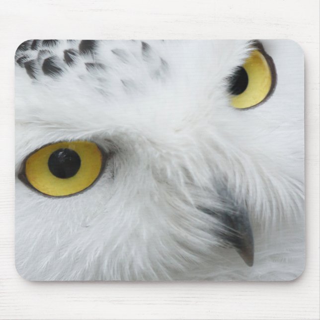 Schneeeulenaugen Mousepad (Vorne)