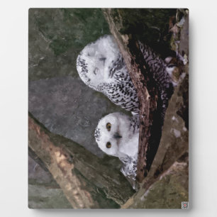 Schneeeulenpaar Wald Wildlife-Kunst Fotoplatte