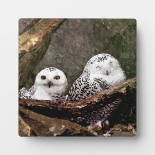 Schneeeulenpaar Wald Wildlife-Kunst Fotoplatte