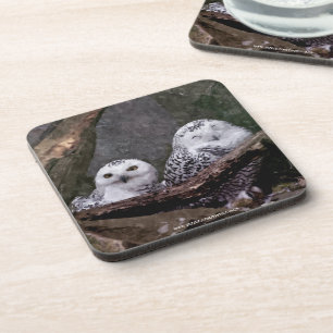 Schneeeulenpaar Wald Wildlife-Kunst Getränkeuntersetzer