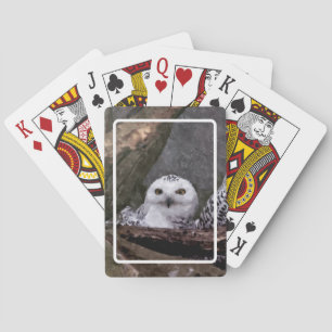 Schneeeulenpaar Wald Wildlife-Kunst Spielkarten