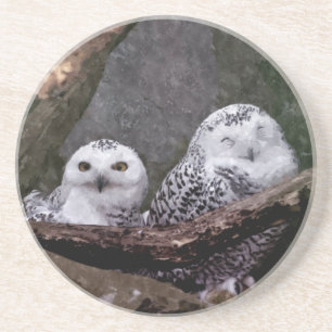 Schneeeulenpaar Wald Wildlife-Kunst Untersetzer