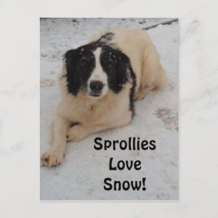 Schneefall auf der Postkarte
