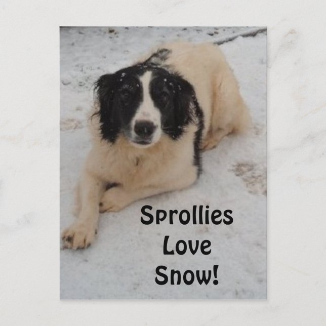 Schneefall auf der Postkarte (Vorderseite)