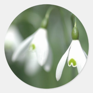 Schneefall aus der Blume-Geschenksammlung Runder Aufkleber
