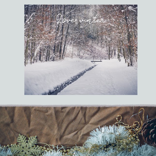 Schneefall beim Parkwurf Poster (Von Creator hochgeladen)