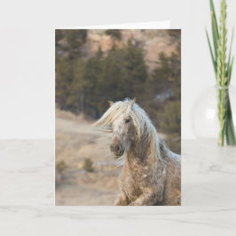 Schneefall - Galloping to Freedom Grußkarte Karte