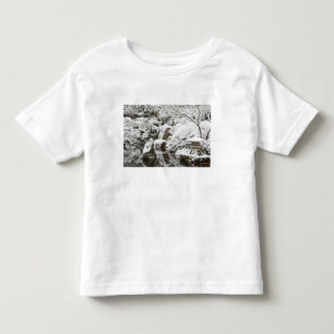 Schneefall im Portland Japanese Garden, 2 Kleinkind T-shirt