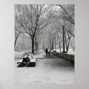 Schneefall in Montreal, Quebec Poster