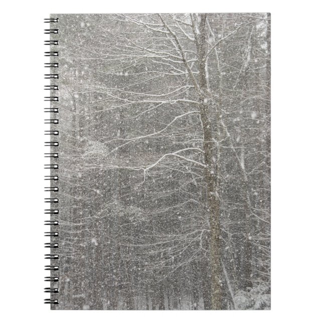 Schneefall Notizblock (Vorderseite)