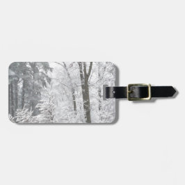 Schneefälle — gepäckanhänger