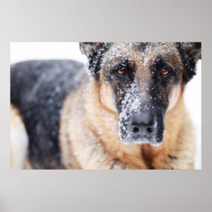 Schneefälle Poster