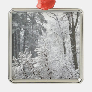 Schneefälle — silbernes ornament