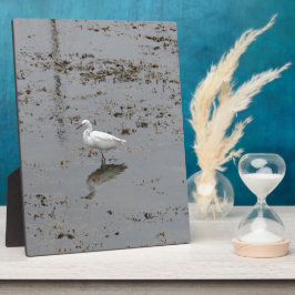Schneefett Fotoplatte