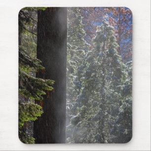 Schneefeuer im Wald Mousepad
