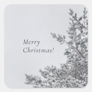 Schneefichte, skandinavische Weihnachtsästhetik Quadratischer Aufkleber