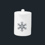 Schneeflocke<br><div class="desc">Foto einer echten Schneeflocke</div>