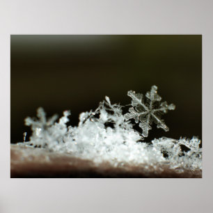 Schneeflocke 2009 Blizzard Poster