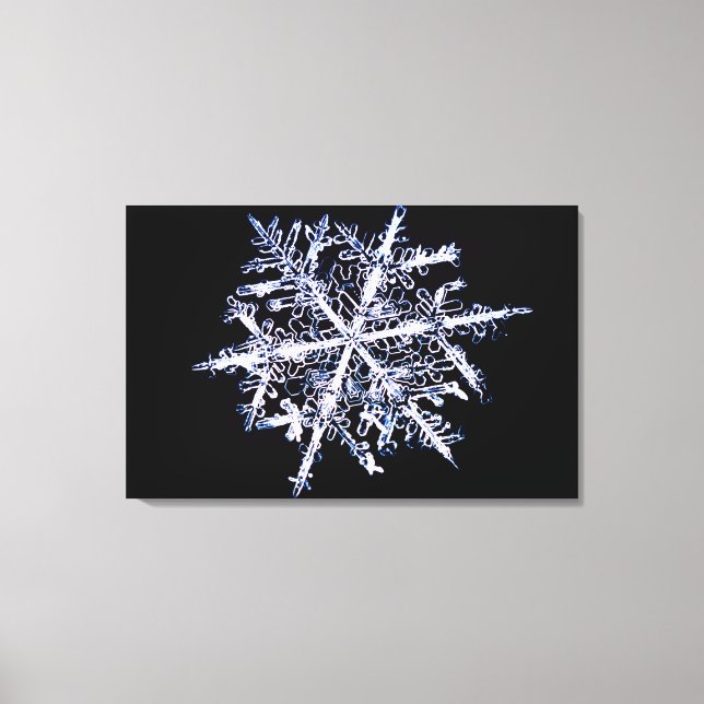 Schneeflocke 5 leinwanddruck (Vorderseite)