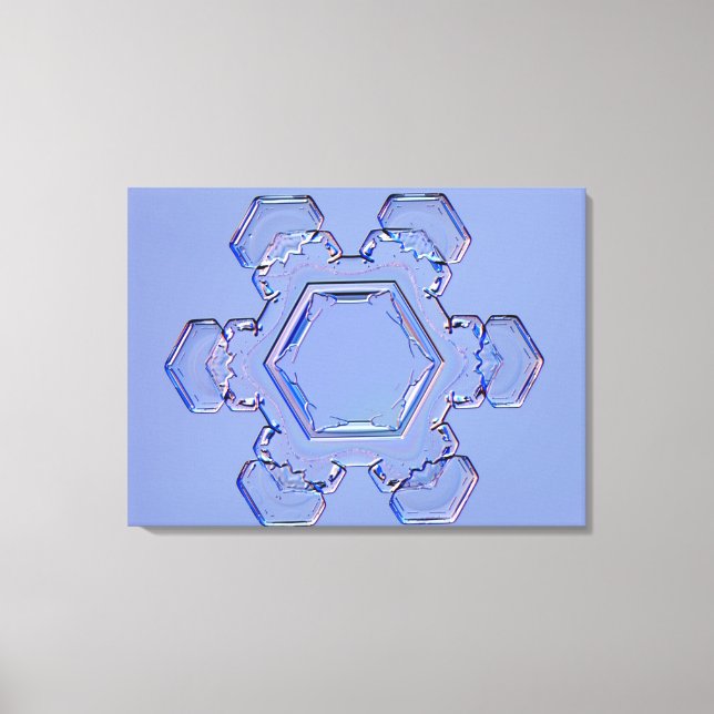 Schneeflocke 6 leinwanddruck (Vorderseite)