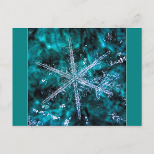 Schneeflocke auf der Postkarte des grünen Fotos