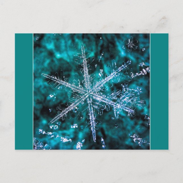 Schneeflocke auf der Postkarte des grünen Fotos (Vorderseite)