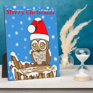 Schneeflocke die Schüssel zu Weihnachten Fotoplatte
