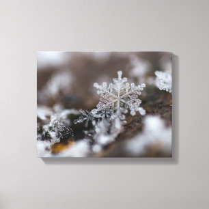 Schneeflocke-Leinwand Leinwanddruck