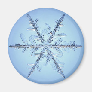 Schneeflocke Magnet