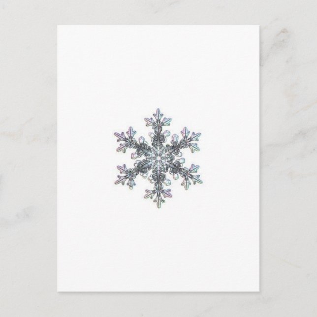Schneeflocke Postkarte (Vorderseite)
