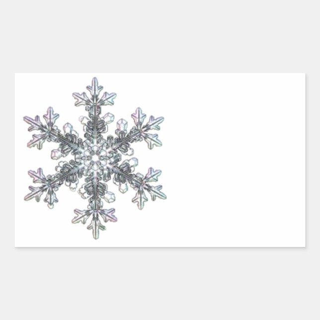 Schneeflocke Rechteckiger Aufkleber (Vorderseite)