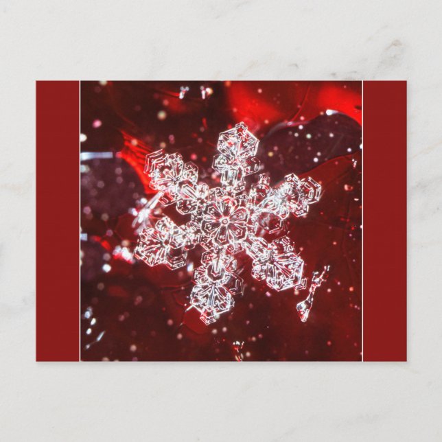 Schneeflocken-Foto-Postkarte Postkarte (Vorderseite)