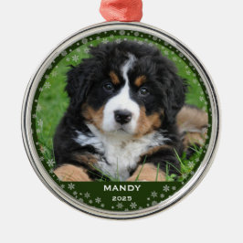 Schneeflocken Haustiername Foto Weihnachten Ornament Aus Metall