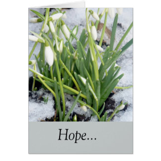 Schneeflocken im Schnee