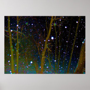Schneeflocken im Wald Poster