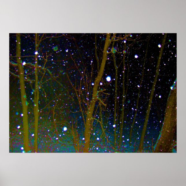 Schneeflocken im Wald Poster (Vorne)