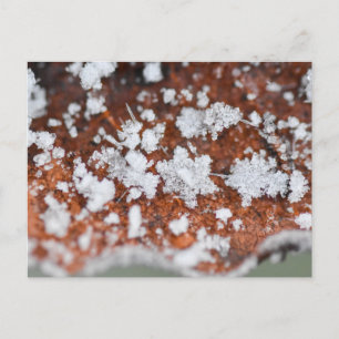 Schneeflocken postkarte