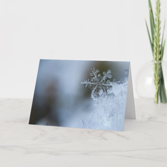 Schneeflottkarte Feiertagskarte (Vorderseite)