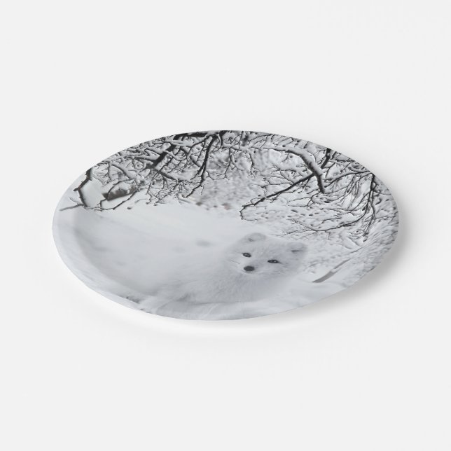 Schneefuchs im Winterwald Pappteller (Schrägansicht)