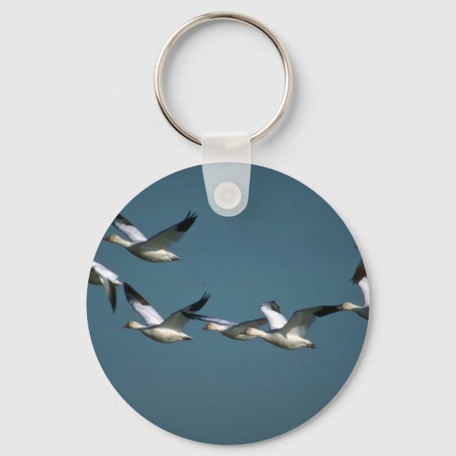 Schneegänse, im Flugzeug Schlüsselanhänger (Vorderseite)
